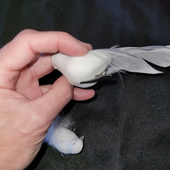 22 White Real Feather Birds Bird Doves with clip - Picture 4 of 6